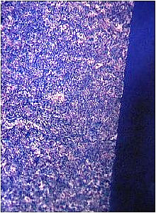 Gefügebild eines Polyacetals zeigt den spannungsarmen Randbereich eines zerspanten Fertigteils
